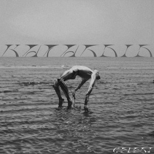 收聽Celeri的ACID FUTURE歌詞歌曲