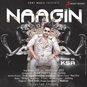收聽Karan Singh Arora的Naagin歌詞歌曲