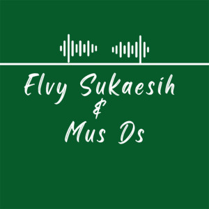 Album Elvy Sukaesih & Muchsin - Datanglah from Muchsin Alatas