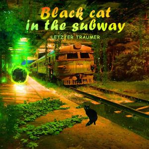 Album black cat in the subway from Letzter Traumer
