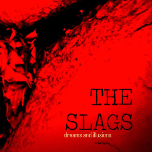The Slags的專輯Dreams and Illusions (Instrumental)
