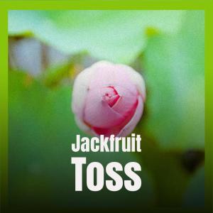 Listen to Jackfruit Toss song with lyrics from Temmy Bethy