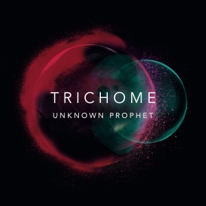 收聽Trichome的Rise and Fall歌詞歌曲