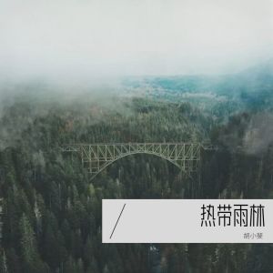 胡小斐的专辑热带雨林