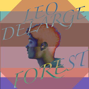 ดาวน์โหลดและฟังเพลง Forest พร้อมเนื้อเพลงจาก Leo Delarge