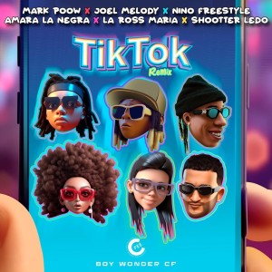 Joel Melody的專輯TikTok (Remix)
