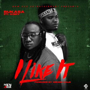 Listen to I Like It (Explicit) song with lyrics from Bukasa