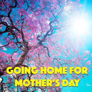 收聽Brian Hyland的Sealed With A Kiss歌詞歌曲