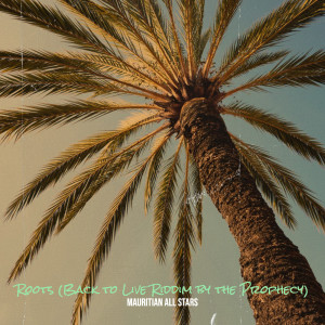 Mauritian All Stars的专辑Roots (Back to Live Riddim by the Prophecy)