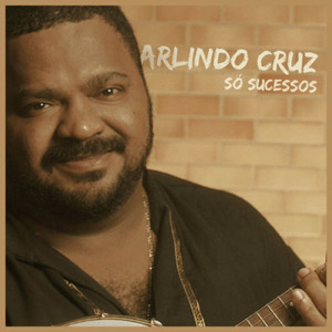 Album Só Sucessos from Arlindo Cruz