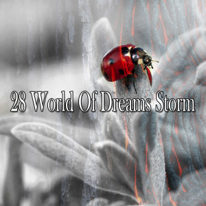 收听Rain Sounds Factory STHLM的Downpour Divinity歌词歌曲
