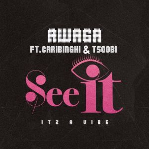 Listen to See It song with lyrics from Awaga