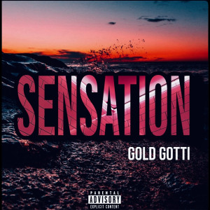 Album Sensation (Explicit) from Gold Gotti