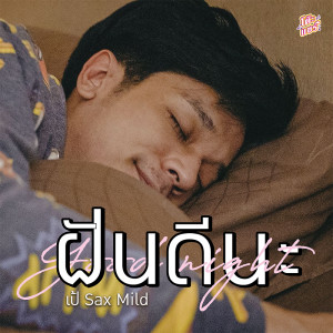 อัลบัม ฝันดีนะ(Goodnight) (โต๊ะแชร์) - Single ศิลปิน แหนม รณเดช