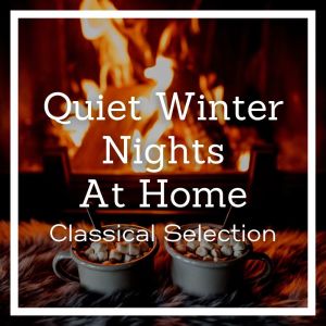 Album Quiet Winter Nights At Home: Classical Selection oleh Antonina Petrov