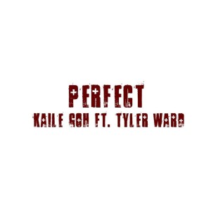 收聽Kaile Goh的Perfect歌詞歌曲