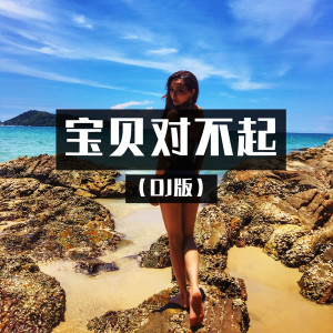 收听潮妹的宝贝对不起 (DJ潮妹版)歌词歌曲