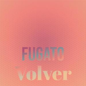 Various Artists的专辑Fugato Volver