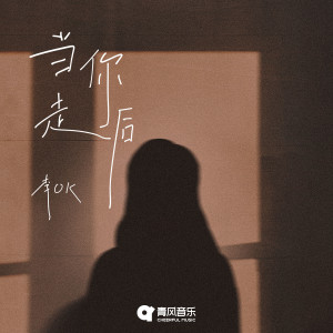 Album 当你走后 from 李OK