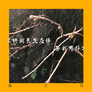 Listen to 待我長髮及腰 娶我可好 (伴奏) song with lyrics from 崔兰花