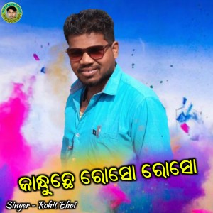 Listen to Kanduchhe Rasa Rasa song with lyrics from Rohit Bhoi