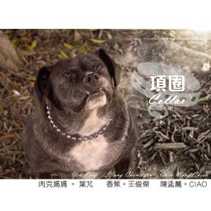 Album Xiang Juan (Hua Yu Ban) oleh 陈孟荞