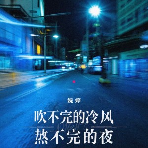 Album 吹不完的冷风熬不完的夜 oleh 婉婷