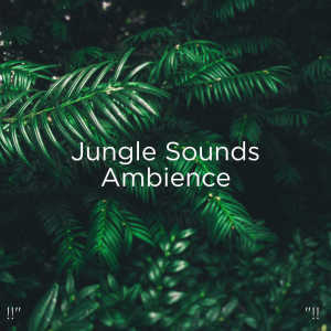 Dengarkan lagu Sleep Meditation nyanyian Sleep Sounds of Nature dengan lirik