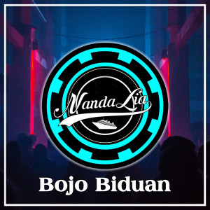 Dengarkan Bojo Biduan lagu dari Nanda Lia dengan lirik