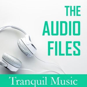 Various Artists的專輯The Audio Files: Tranquil Music