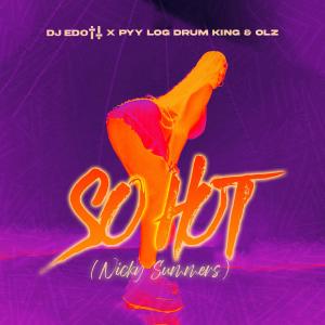 ดาวน์โหลดและฟังเพลง So Hot (Nicky Summers) (feat. Pyy Log Drum King & OLZ) พร้อมเนื้อเพลงจาก DJ Edott