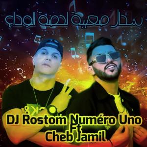 收聽DJ Rostom Numéro Uno的شحال صعيبة لحضة الوداع (feat. Cheb Jamil)歌詞歌曲