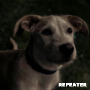 Orange County Death March的專輯Repeater