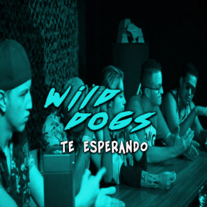 收聽wild dogs的Te Esperando歌詞歌曲