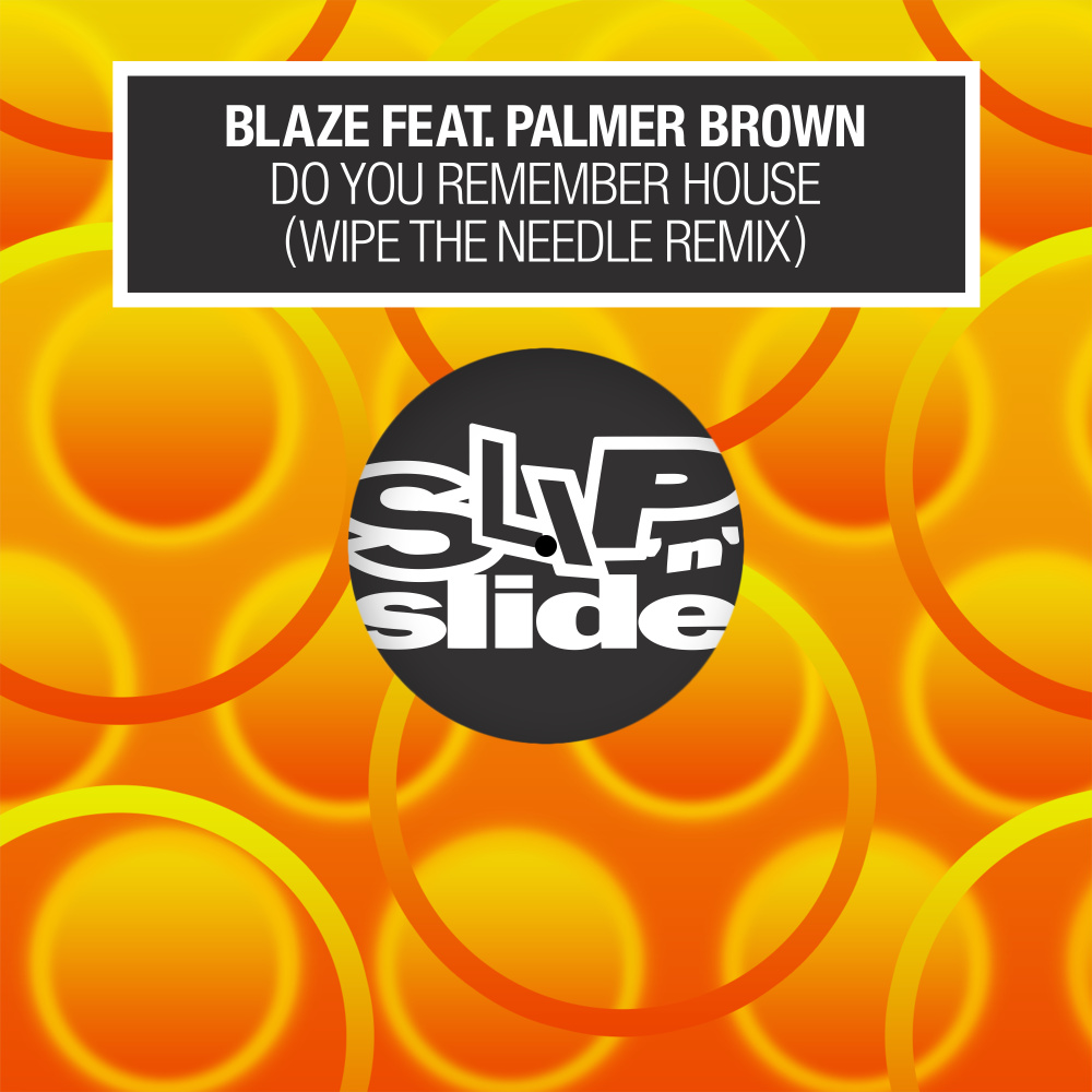 Do You Remember House? (feat. Palmer Brown) (Wipe the Needle Remix)