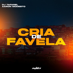 ดาวน์โหลดและฟังเพลง Cria de Favela พร้อมเนื้อเพลงจาก DJ Tafarel