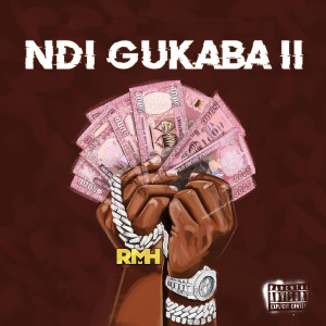 Album Ndigukaba II (Explicit) from 