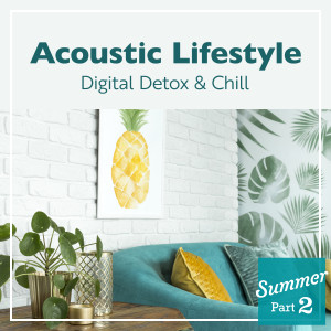 Acoustic Lifestyle: Digital Detox & Chill -Summer- , Vol. 2