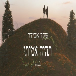收聽שקד אבידר的תהיה אמיתי歌詞歌曲