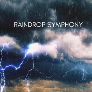 Oasis of Sleep的專輯Raindrop Symphony