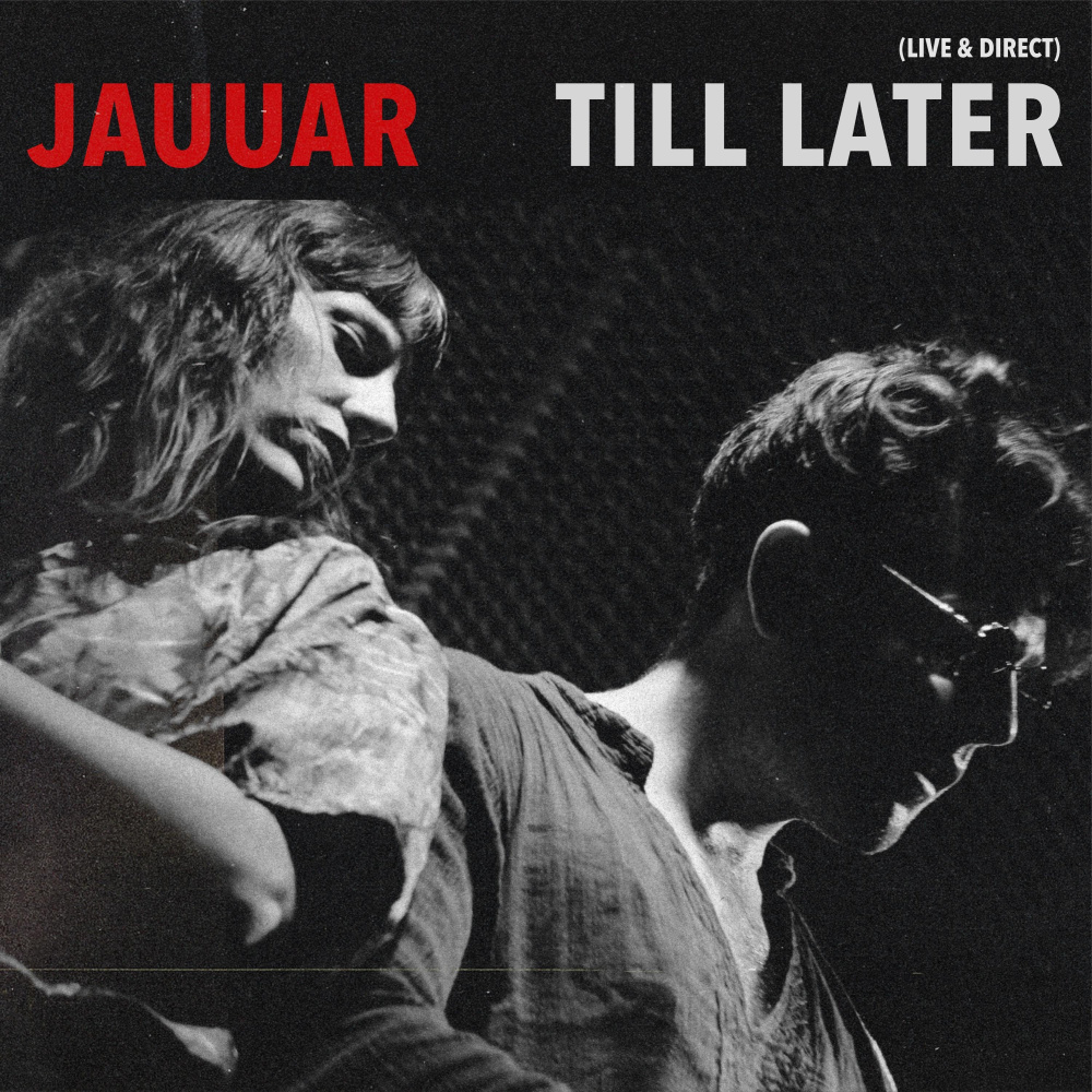 Till Later (Acoustic Demo)