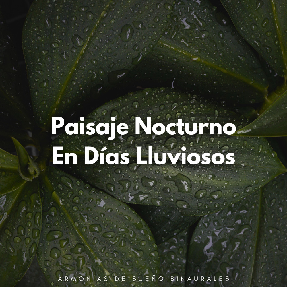 Tranquilidad Binaural Para El Sueño