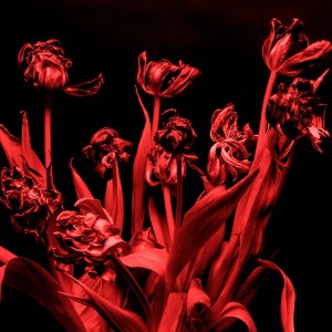 ดาวน์โหลดและฟังเพลง Chok (Baryl Remix) พร้อมเนื้อเพลงจาก VEITNER