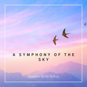 Album A Symphony of the Sky oleh Ruidos de la Selva