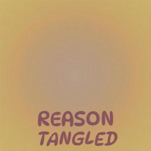 Various的专辑Reason Tangled