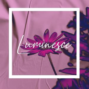 Dengarkan Luminesce lagu dari Elvis Chillworld dengan lirik