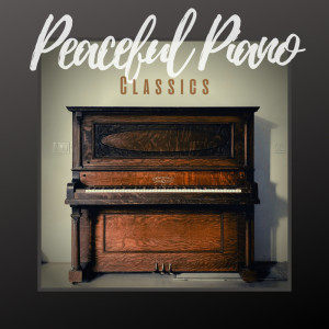 Album Peaceful Piano Classics oleh Ana Olgica
