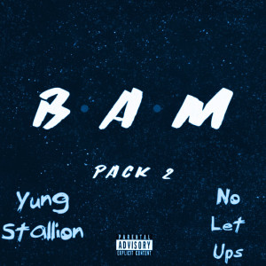 ดาวน์โหลดและฟังเพลง Yung Stallion (Explicit) พร้อมเนื้อเพลงจาก DBuck$