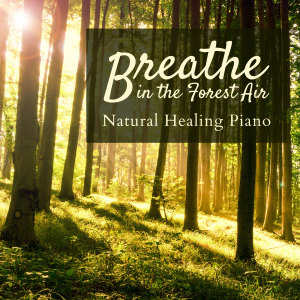 ดาวน์โหลดและฟังเพลง 88 Beauty Spots พร้อมเนื้อเพลงจาก Relaxing BGM Project