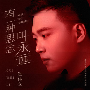 收听崔伟立的有一种思念叫永远 (DJ何鹏版)歌词歌曲